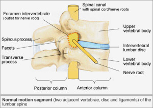 LumbarSpine_Fig02b_en