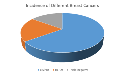 Breast cancer pie chart