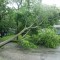 Hurricane Irene and The Big Yellow Taxi called Life